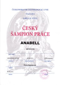 adéla CHWCZw